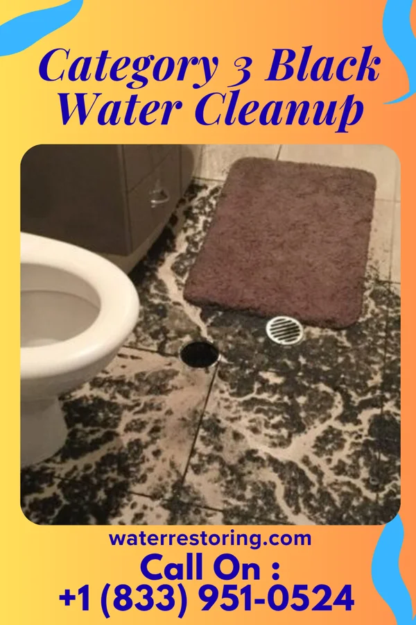 Category 3 Black Water Cleanup in Poteau, OK